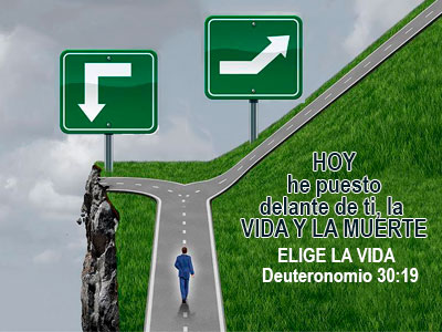 Escoge