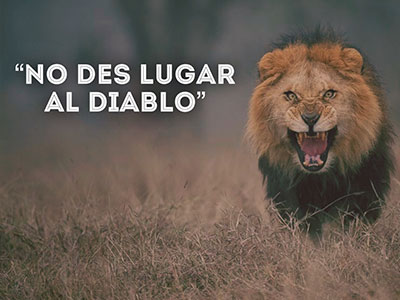 “No Des”