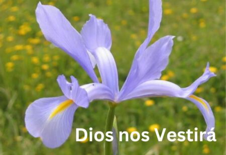 Dios nos Vestirá 