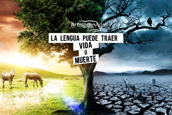Árbol de vida
