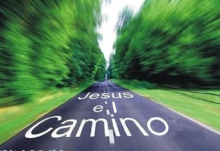 El Camino