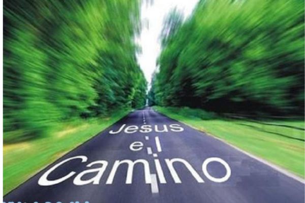 El Camino